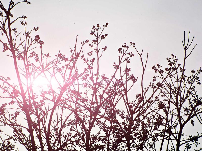 sudoku greater than screenshot 1